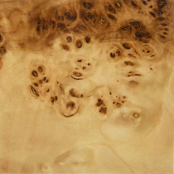 Glossy Burl Sculptural Bench
